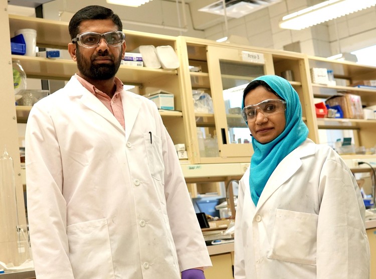 Future Energy Systems Post-Doctoral Fellow Muhammad Arshad and PhD student Irum Zahara
